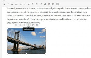 wordpress-4.1-editor-inline