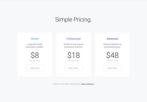 simple pricing