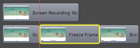 screenflow freeze frame